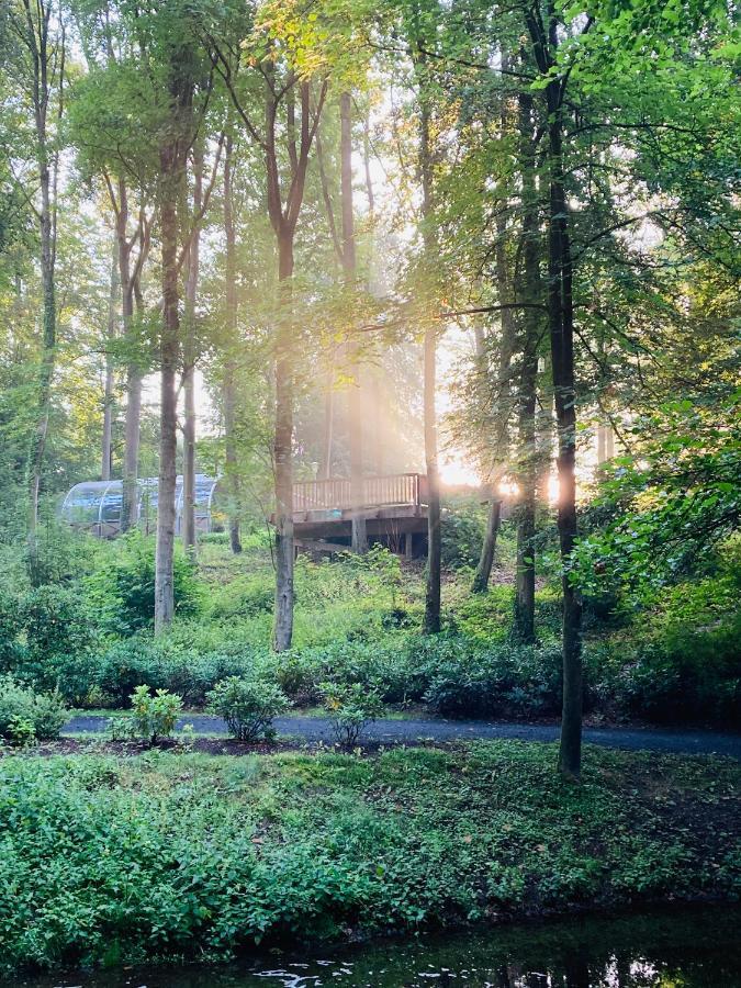 Hotel Im Park Bad Iburg Bagian luar foto